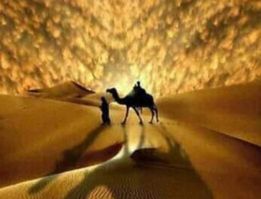 Profites de Voyage Au Maroc