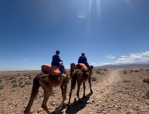 Quad Marrakech Synergie