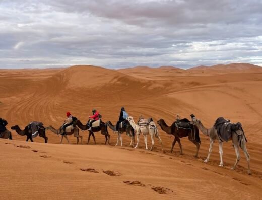 Rachid Excursions
