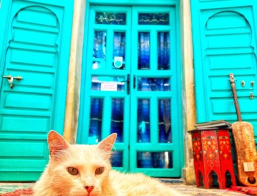 Riad Al Nour