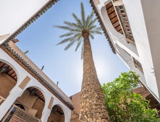 Riad Maison Palmier
