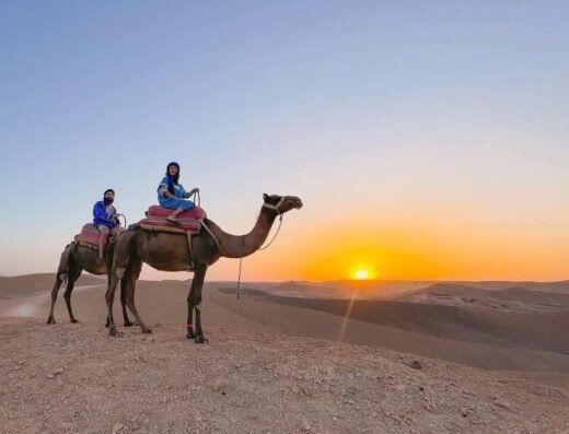Ride camel Marrakech