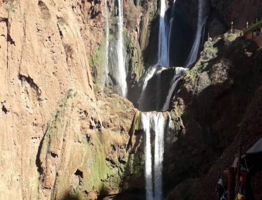Sabra excursions