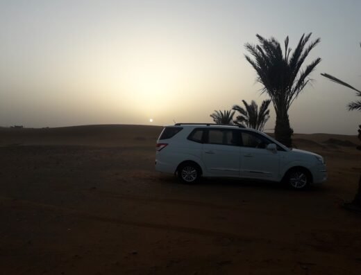 Sabra excursions