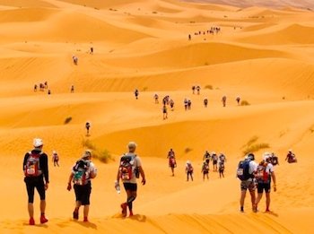 Salah Excursions