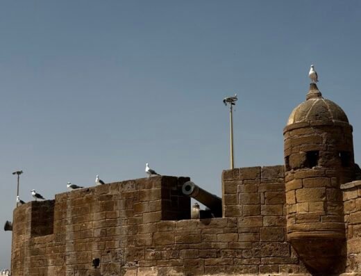 Starry Morocco Tours & Marrakesh day trips