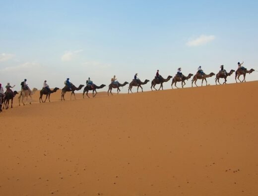 Traces B. Culture & Aventure