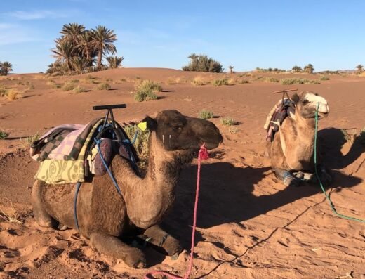 Trek Maroc Aventure