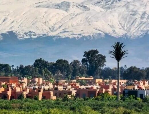 Tribalo Marrakech – Services & Experiences