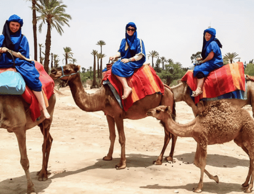 Tribalo Marrakech – Services & Experiences